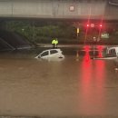 나성동_다정교 이미지