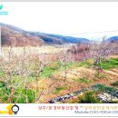 상주부동산