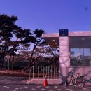 한국경영자총연합회 | 수상안전요원 2급 자격증 후기 - 한국수영장경영자협회