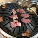 RR-795[중앙로]-하-15 | [제주] 잿빛 세상을 등지고 이 도시를 달려봐