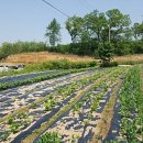 동서행정사 이미지