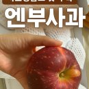 정감농장 | 옵스 사과선물 추천] W 옵스 드마히니, 쟈흐당옵스 첫 수확 엔부사과 솔직 후기 - 옵스농장, 사과선물 추천