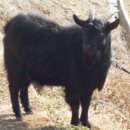 윤씨네농장 이미지