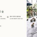 네버엔딩인발리투어 이미지
