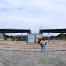 풍경공원 | 이바라키 여행 국영 히타치 해변공원 산책 코키아 풍경 가는법 후기