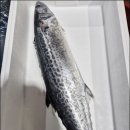 회점빵