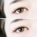 느보속눈썹지축본점