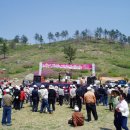 약산의 진달래축제롤 보고 오다 이미지