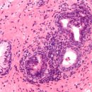 올바른비뇨의학과의원 이미지