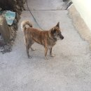 가파민박 이미지