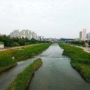 태백산국립공원 등산로 백천탐방지원센터사무소 앞 | 2023.06.01. [경북山行記 195] 경북 봉화 청옥산