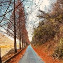 마이산 풍혈냉천 캠핑장 | [전북 캠핑] 마이산의 절경과 감성 글램핑의 만남! 마이산풍혈냉천 캠핑장 완벽 후기 (Feat. 바베큐)