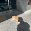 동마산보건지소 이미지