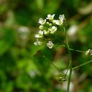 여행스케치 B 이미지