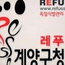 레푸스계양