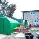 지수네민박 이미지