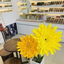 해바라기안경원 이미지