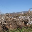 단산마을 이미지