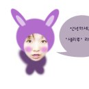 샐리비
