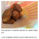 부모님이 돌아가실때 느끼는 감정 이미지