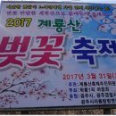 계룡산동학사스타 네이버블로그
