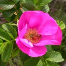 태보민박 이미지