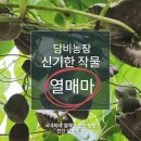 동남농장 이미지