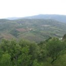 와인과 세계문화 이미지