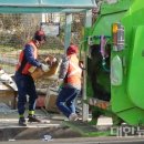 광주광역시 남구청 일간대한뉴스