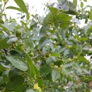 와우한우농장 이미지