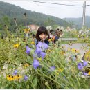 금학산민박 이미지