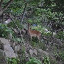 철탑민박 이미지