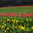 바람의정원 이미지