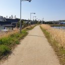 탑지 생태공원 이미지