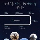 여나투어 이미지