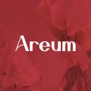 [아름공방 부케말리기] 내돈내산후기/ 부케선물/부캐재현액자/ Areum_Fleur/ 내친구감둥이 결혼
