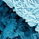 팜솔루션 이미지