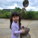 명수농장 이미지