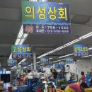 부산 광안리 민락회타운 봄도다리 1KG 포장 의성상회 후기