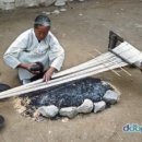 바를정 회 이미지