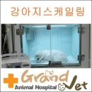 그랜드벳동물병원