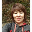 스타 인셀덤 네이버블로그