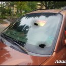 시야 이미지