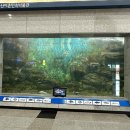 어촌민속박물관 이미지