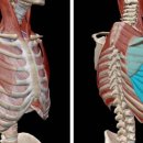 피트니스넘버원 이미지