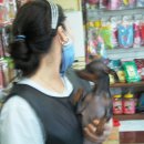 팻 빌리지 이미지