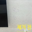 수성군묘및사당 | 벽 타일낙서제거 대리석수성싸인펜 안지워질때