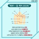 선 에스테틱 이미지