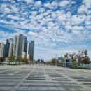 나성동 836 도시상징광장 | 나성동 도시 상징광장 김장 담그기 드라이브스루와 현장에서