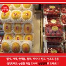 삼일청과